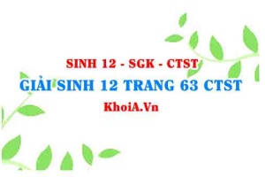 Giải Sinh 12 trang 63 Chân trời Sáng tạo